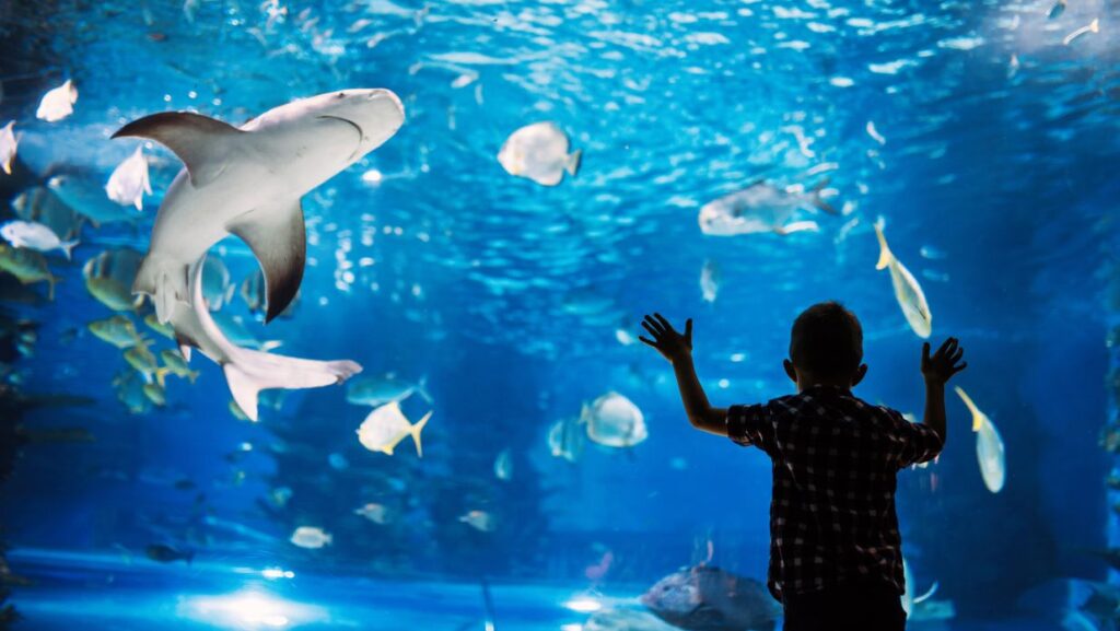 8. Maxell Aqua Park Shinagawa