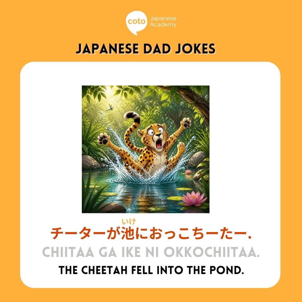 Japanese Dad Joke about Cheetahs